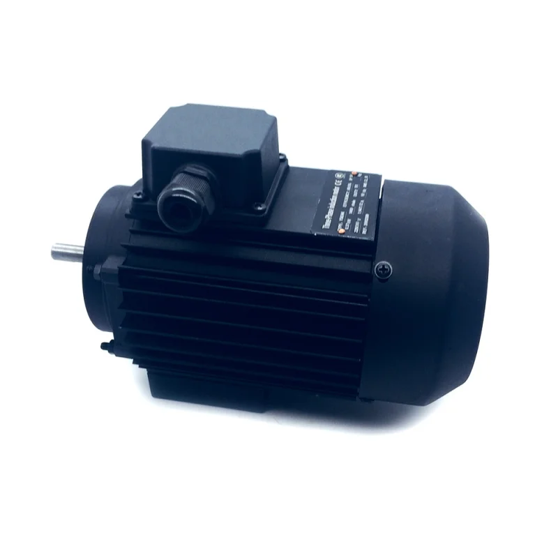 YS6344M polishing motor 601020098 for edge banding machines